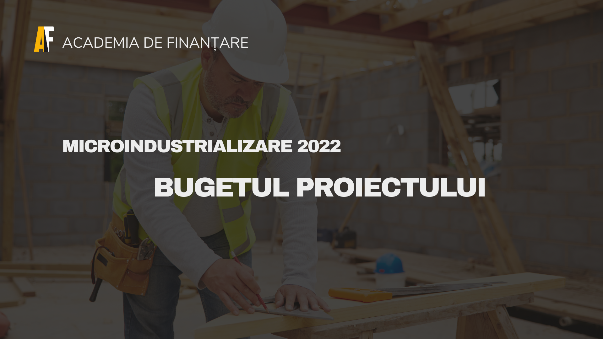 Programul Microindustrializare 2022 Bugetul proiectului