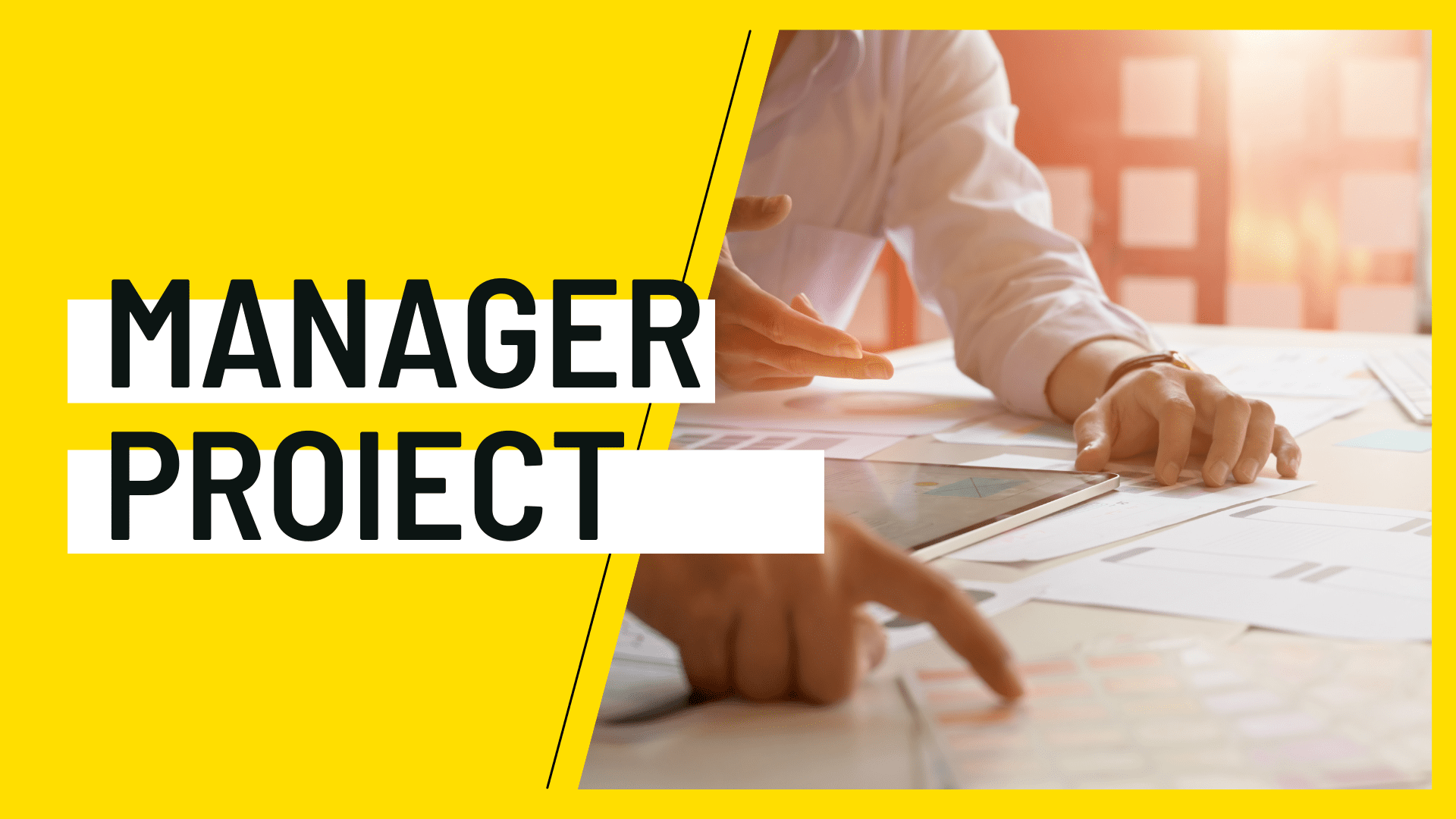 manager proiect