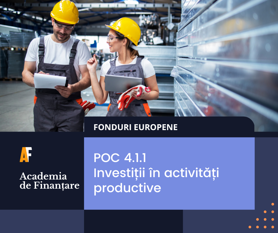 poc 4.1.1 investiții în activități productive