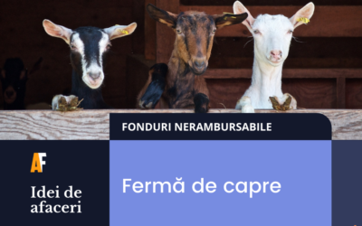 Idei de afaceri: Cum să obții fonduri europene pentru fermă de capre
