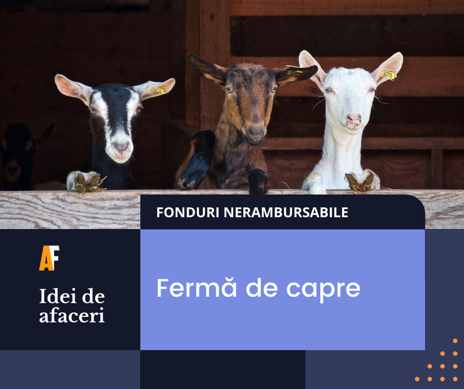 spade terrorist hop Idei de afaceri: Cum să obții fonduri europene pentru fermă de capre »  Academia de Finanțare