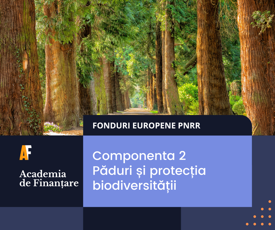 Componenta 2 PNRR Păduri și protecția biodiversității Academia de Finanțare